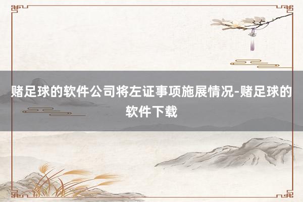 赌足球的软件公司将左证事项施展情况-赌足球的软件下载