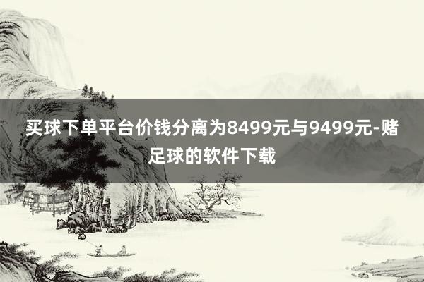 买球下单平台价钱分离为8499元与9499元-赌足球的软件下载