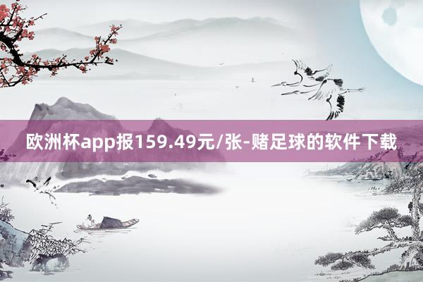 欧洲杯app报159.49元/张-赌足球的软件下载