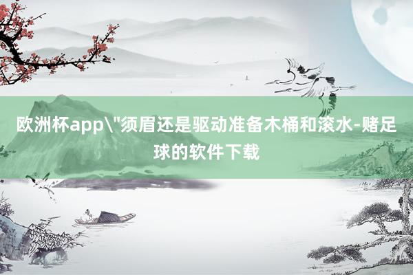 欧洲杯app
