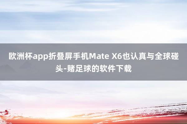 欧洲杯app折叠屏手机Mate X6也认真与全球碰头-赌足球的软件下载