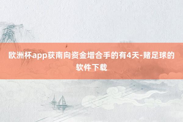 欧洲杯app获南向资金增合手的有4天-赌足球的软件下载