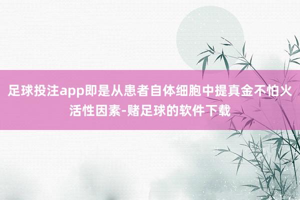 足球投注app即是从患者自体细胞中提真金不怕火活性因素-赌足球的软件下载