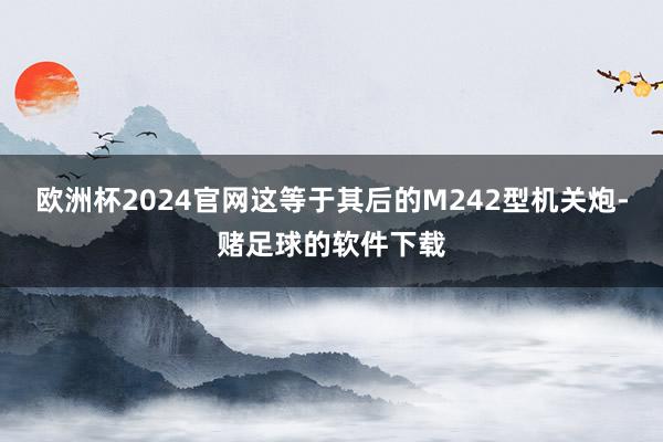 欧洲杯2024官网这等于其后的M242型机关炮-赌足球的软件下载