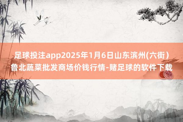 足球投注app2025年1月6日山东滨州(六街)鲁北蔬菜批发商场价钱行情-赌足球的软件下载