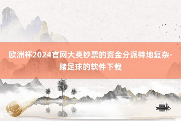 欧洲杯2024官网大类钞票的资金分派特地复杂-赌足球的软件下载