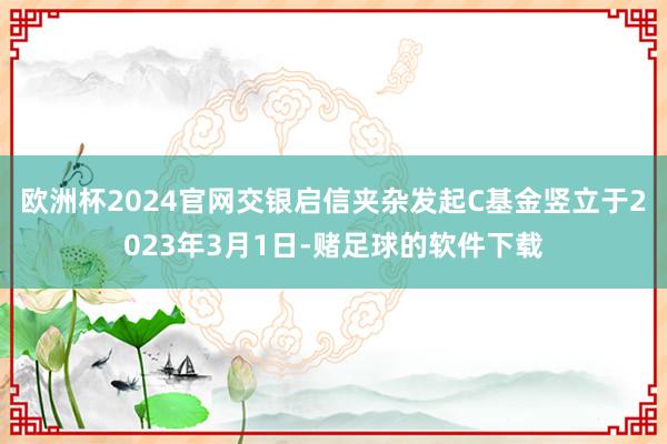 欧洲杯2024官网交银启信夹杂发起C基金竖立于2023年3月1日-赌足球的软件下载