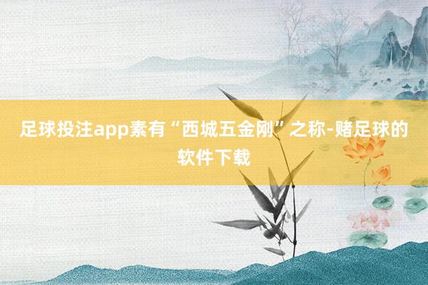 足球投注app素有“西城五金刚”之称-赌足球的软件下载