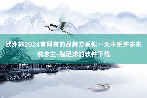 欧洲杯2024官网有的品牌方看似一天干系许多东说念主-赌足球的软件下载
