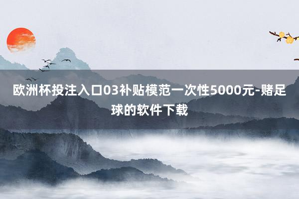 欧洲杯投注入口03补贴模范一次性5000元-赌足球的软件下载