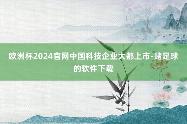 欧洲杯2024官网中国科技企业大都上市-赌足球的软件下载
