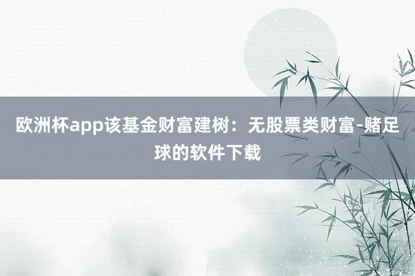 欧洲杯app该基金财富建树：无股票类财富-赌足球的软件下载