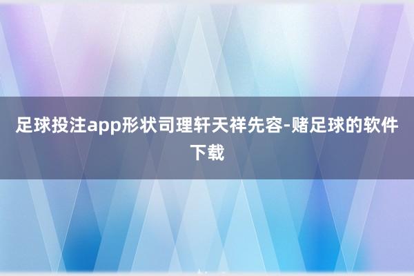 足球投注app 形状司理轩天祥先容-赌足球的软件下载