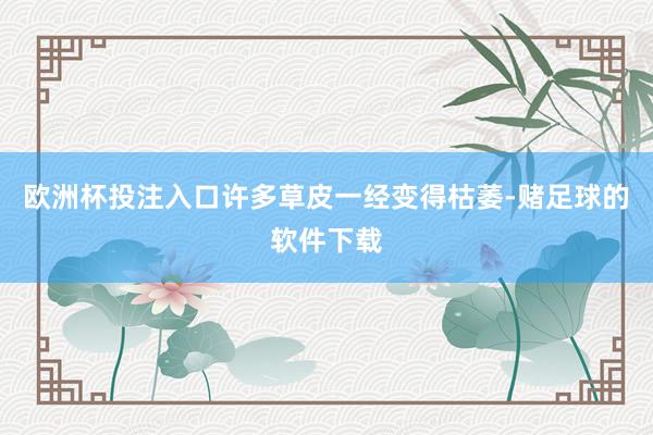 欧洲杯投注入口许多草皮一经变得枯萎-赌足球的软件下载