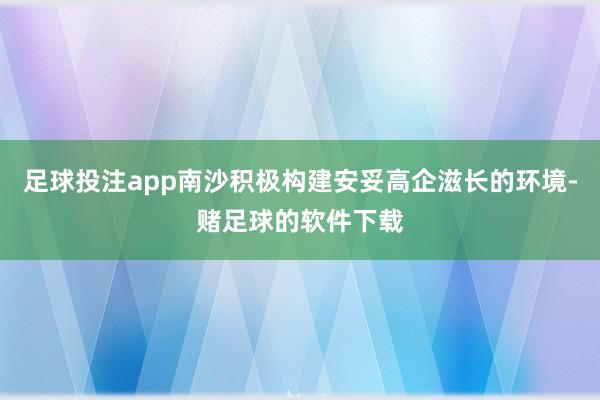 足球投注app南沙积极构建安妥高企滋长的环境-赌足球的软件下载